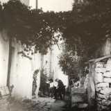 Come � possibile notare da alcune foto degli anni 50 e 60 tratte dal volume �San Michele Sammichele. La cultura dell�appartenenza� di Domenico Notarangelo, la vigna serviva a creare vere e proprie zone d�ombra nei cortili...